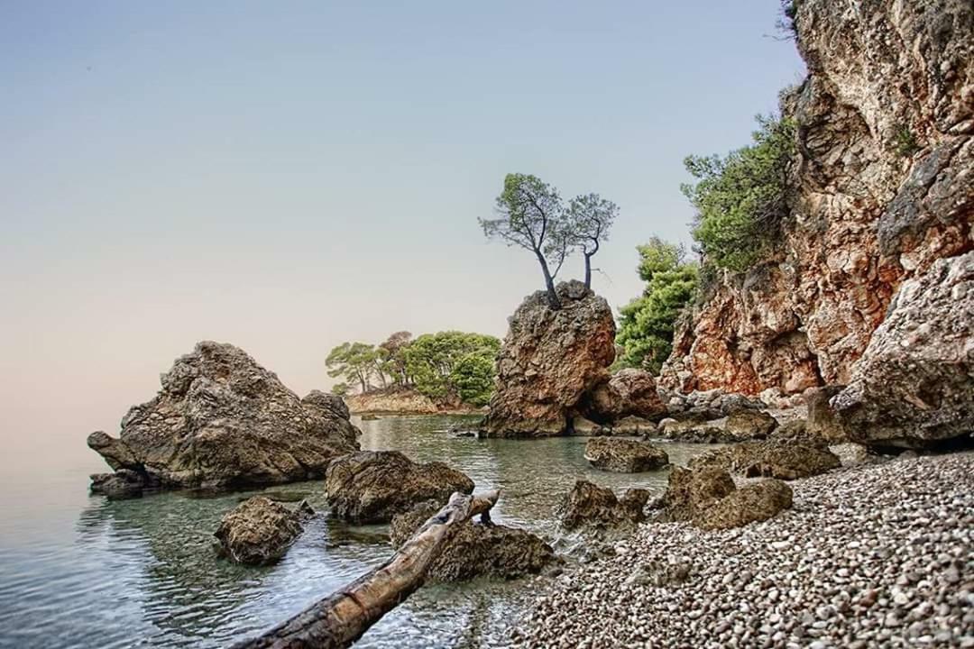 Sea View Ela Apartments Podgora Eksteriør bilde